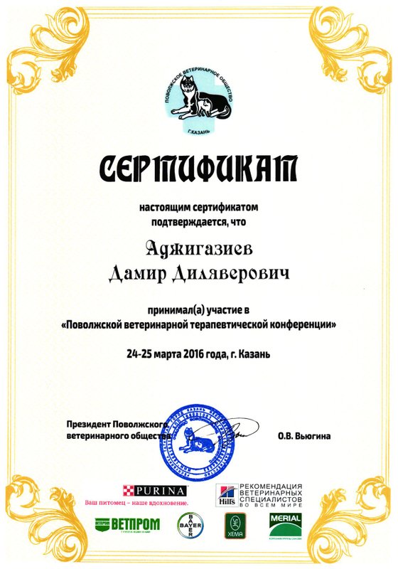 Документ или сертификат