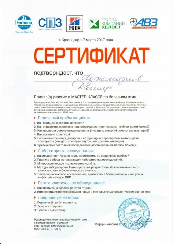 Документ или сертификат