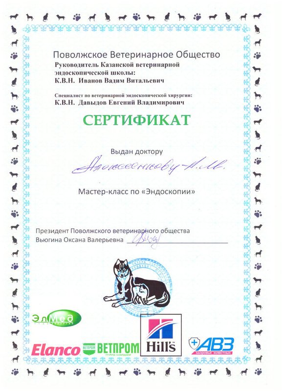 Документ или сертификат