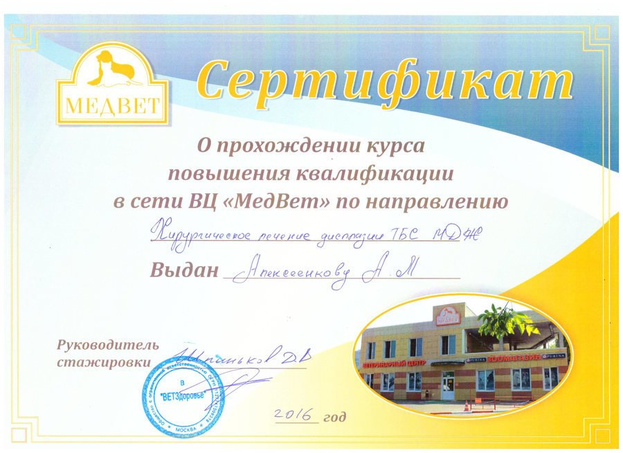 Документ или сертификат