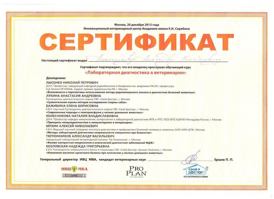 Документ или сертификат