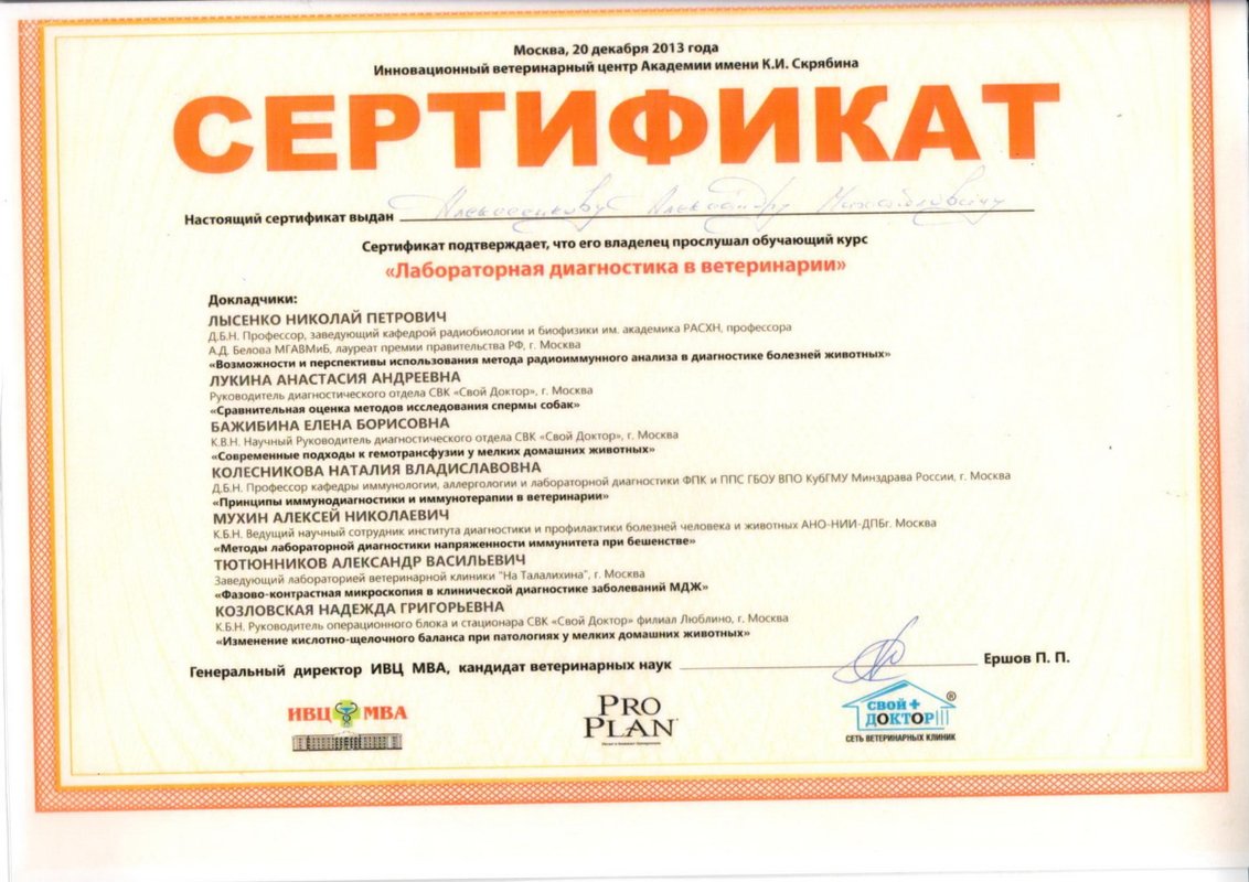 Документ или сертификат