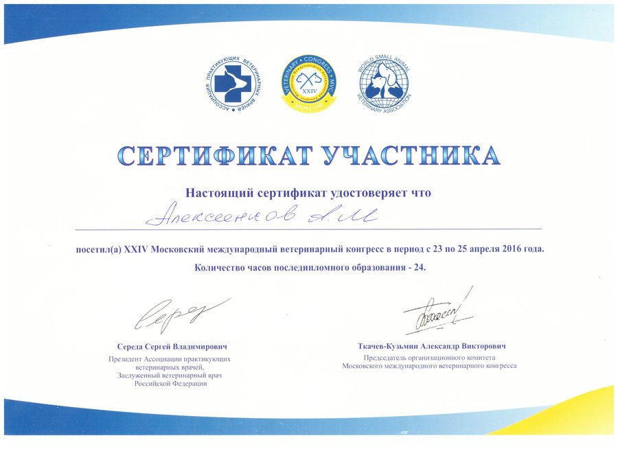 Документ или сертификат