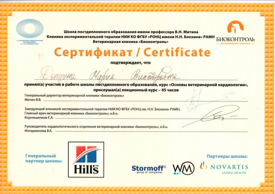 Документ или сертификат