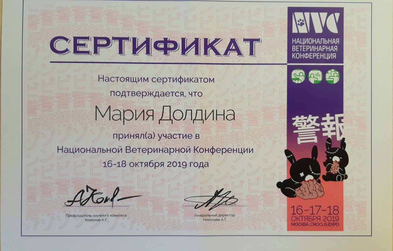 Документ или сертификат