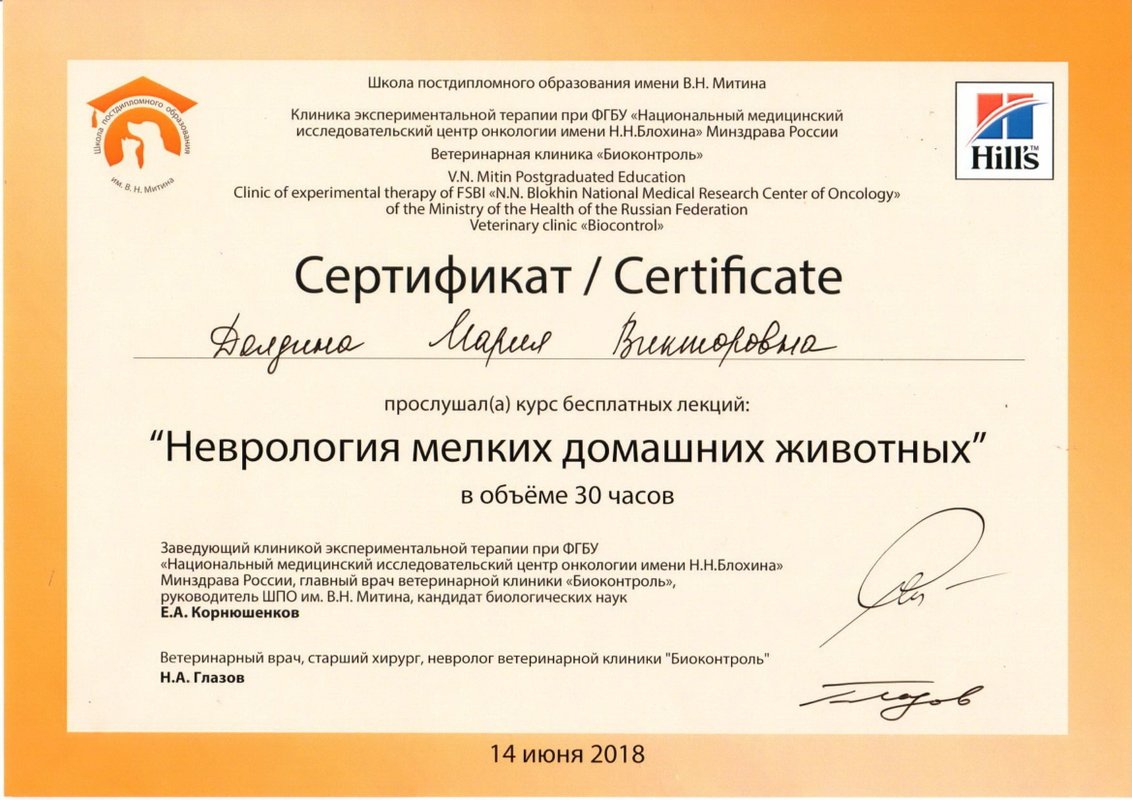Документ или сертификат