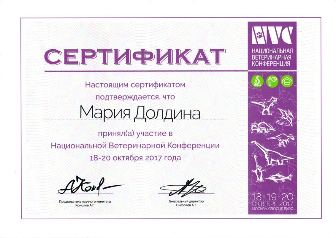 Документ или сертификат