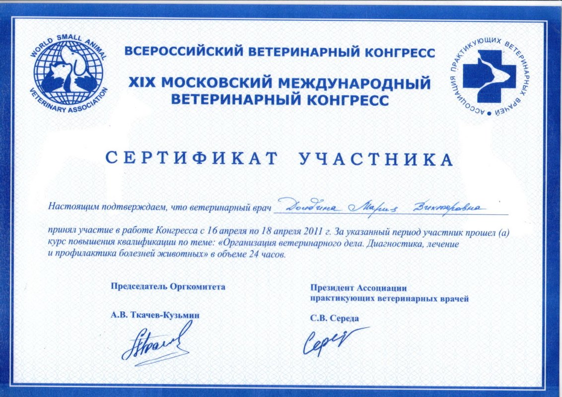 Документ или сертификат