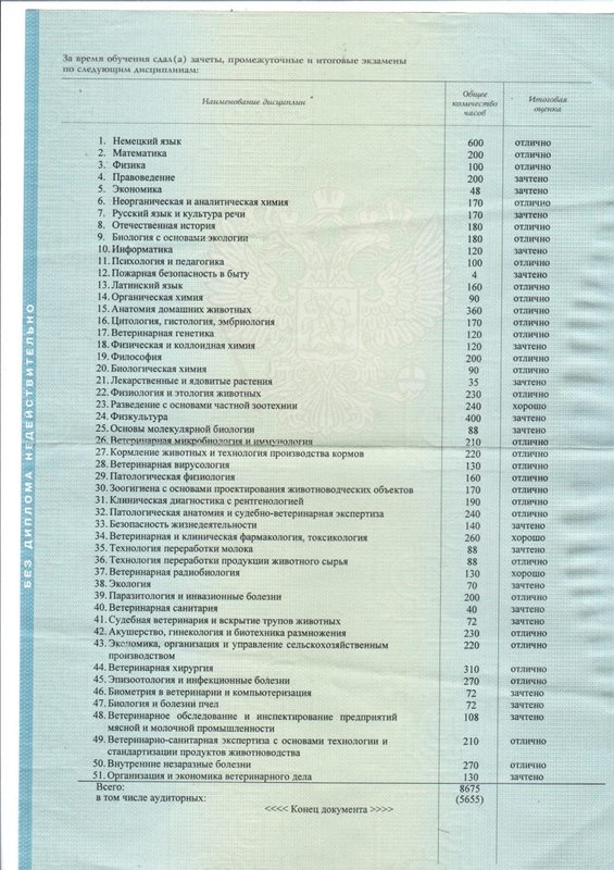 Документ или сертификат