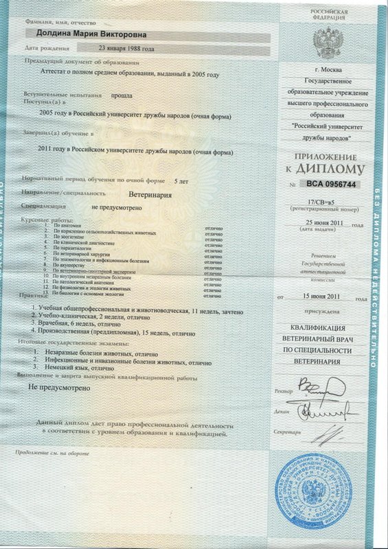 Документ или сертификат