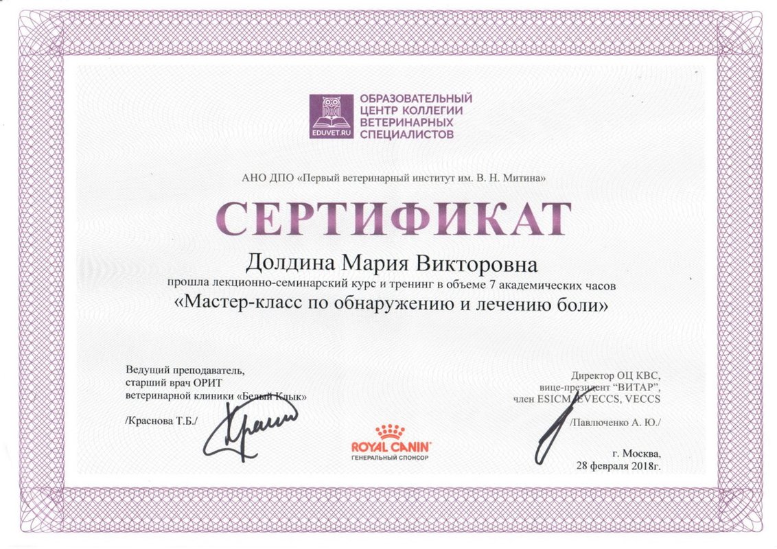 Документ или сертификат