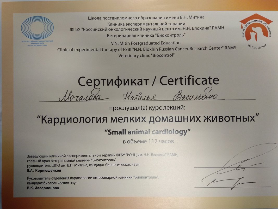 Документ или сертификат