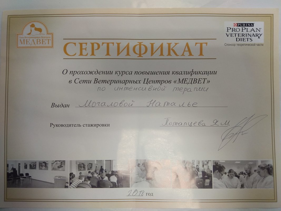Документ или сертификат