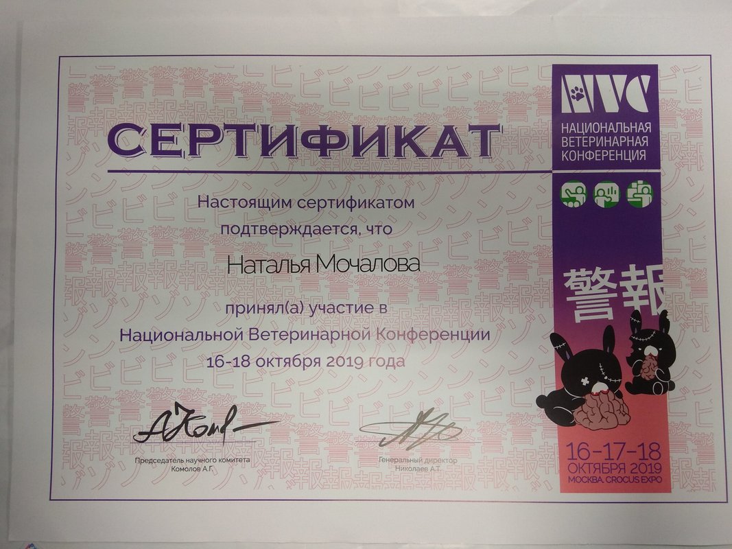 Документ или сертификат
