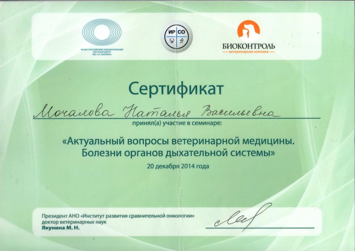 Документ или сертификат