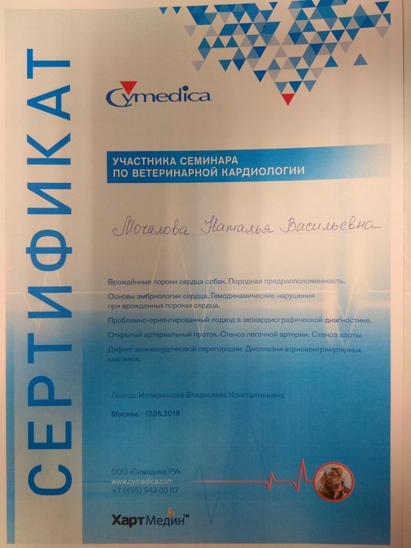 Документ или сертификат