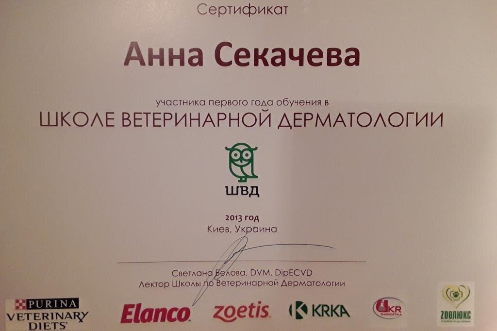 Документ или сертификат