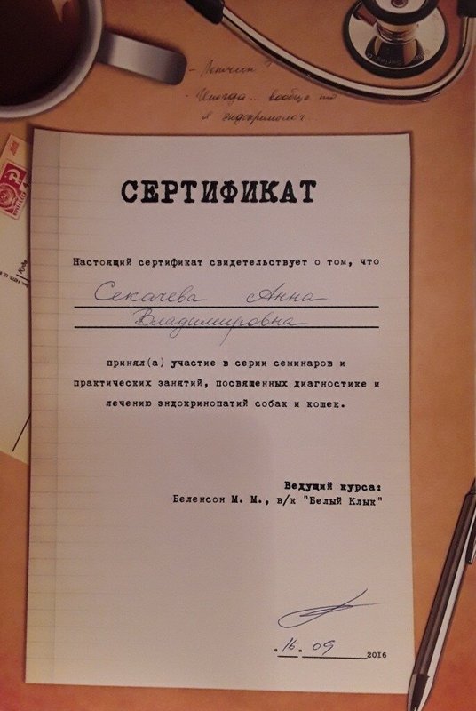 Документ или сертификат