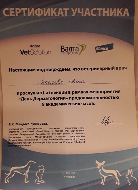 Документ или сертификат