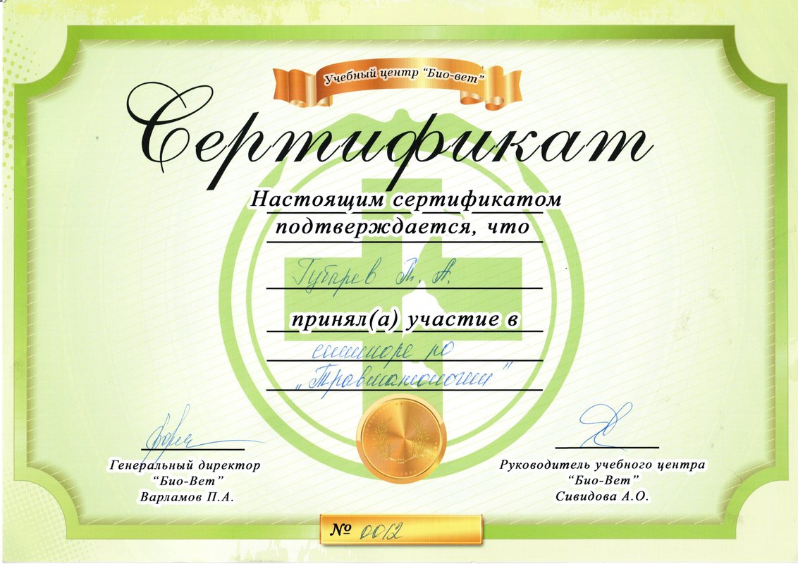 Документ или сертификат