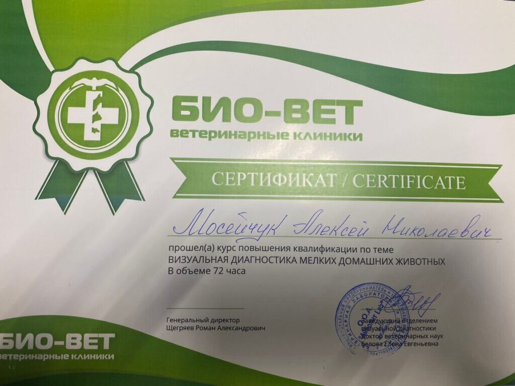 Документ или сертификат