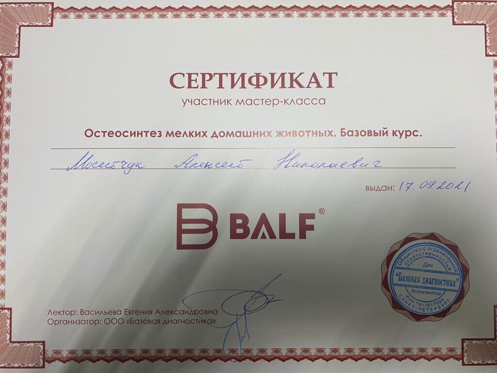 Документ или сертификат