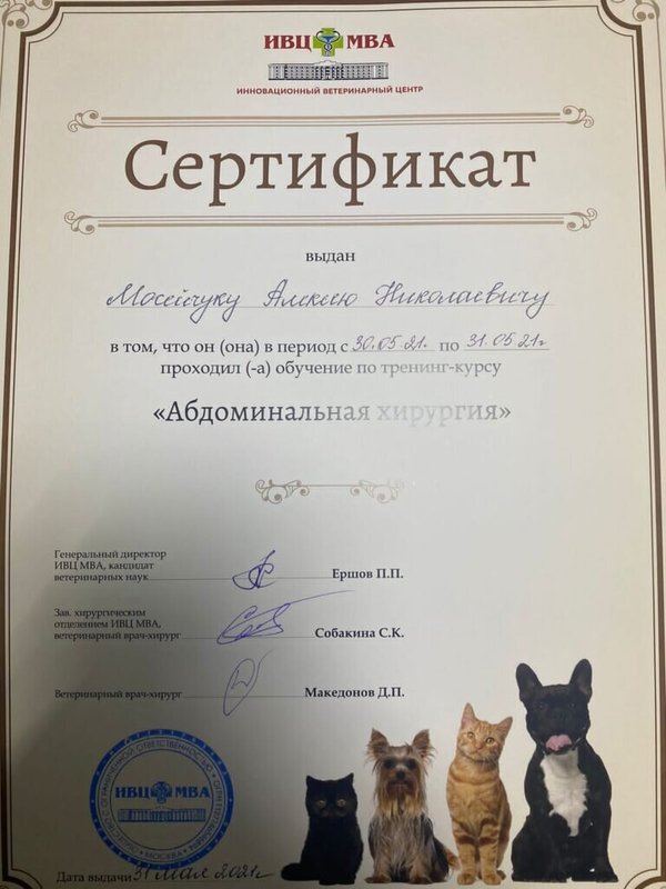 Документ или сертификат