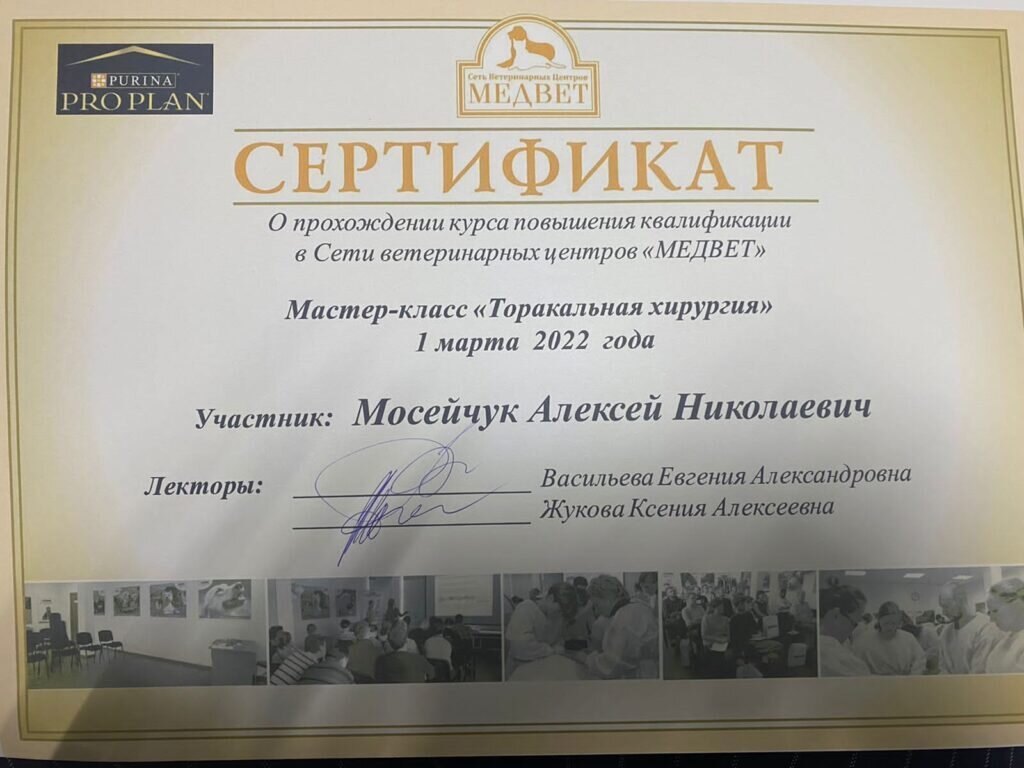 Документ или сертификат