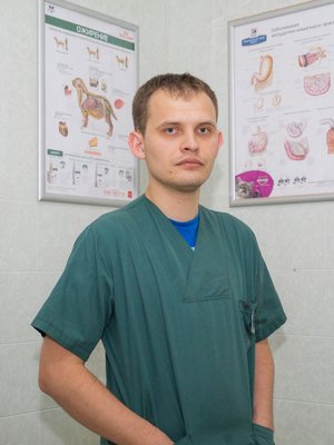 Фото врача Новиков Николай Александрович