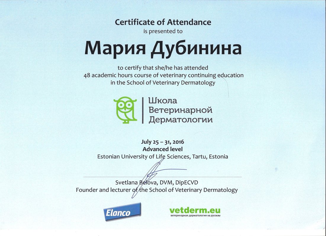 Документ или сертификат