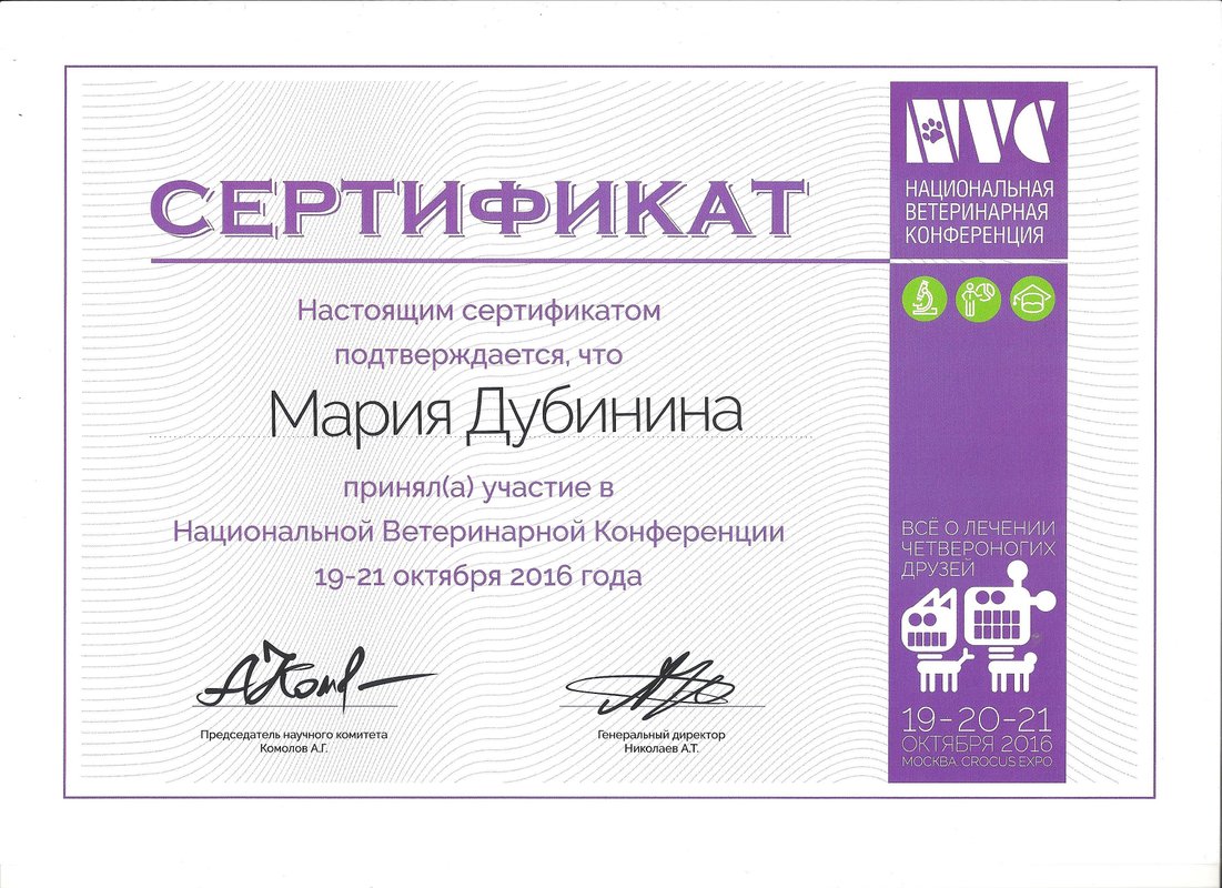 Документ или сертификат