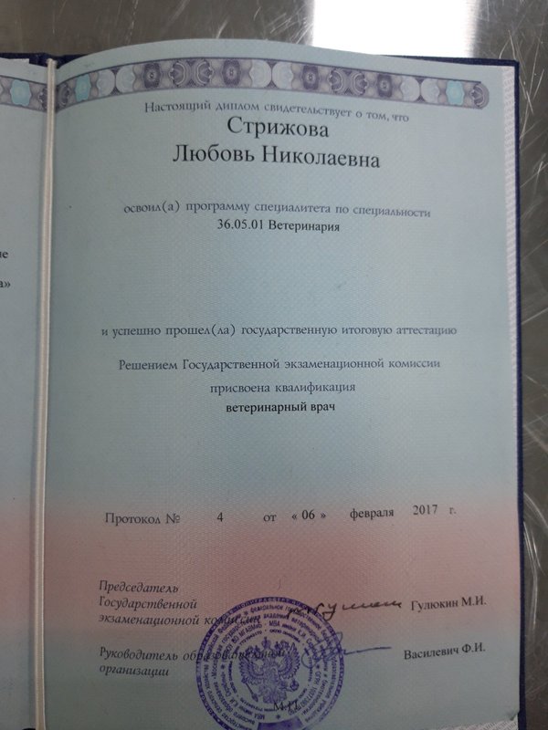 Документ или сертификат