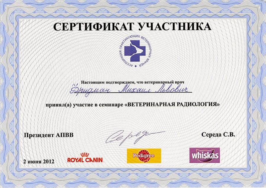 Документ или сертификат