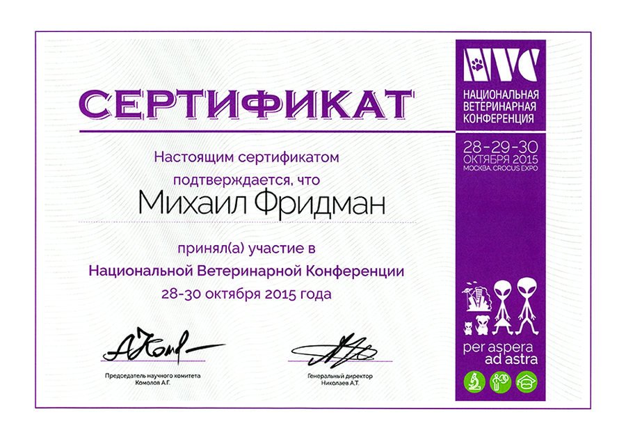 Документ или сертификат