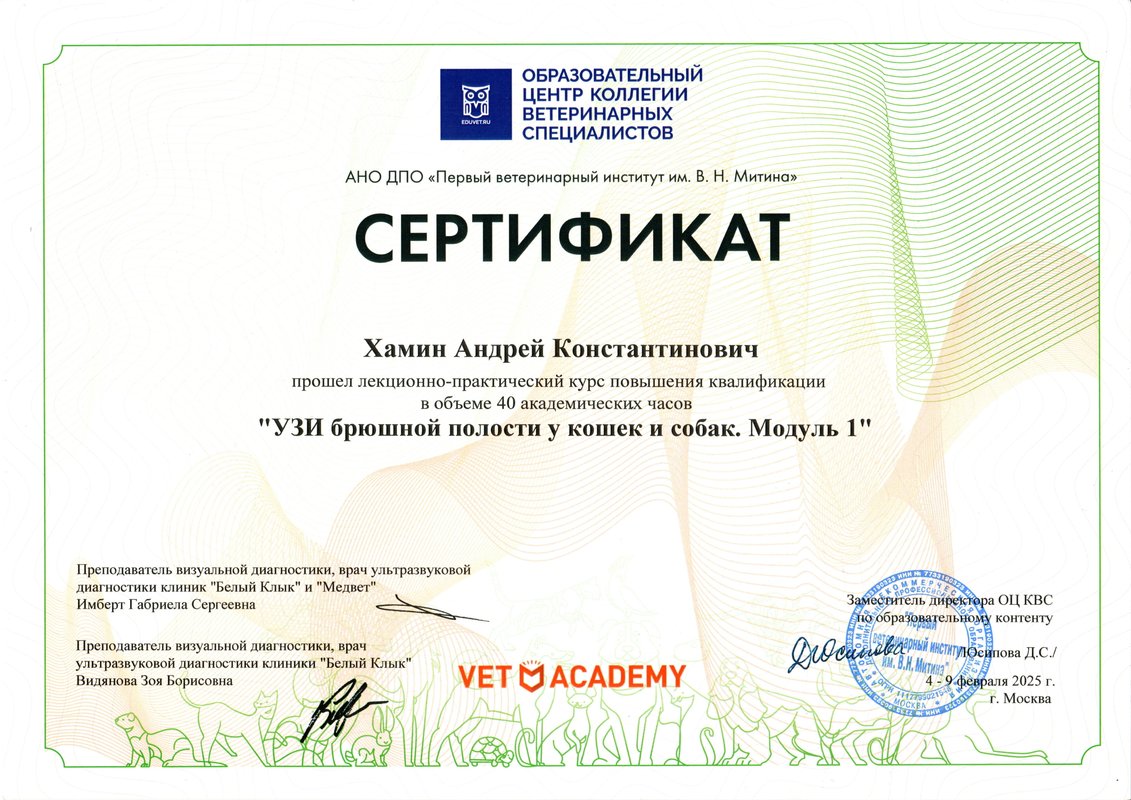 Документ или сертификат