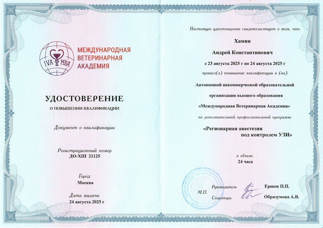 Документ или сертификат