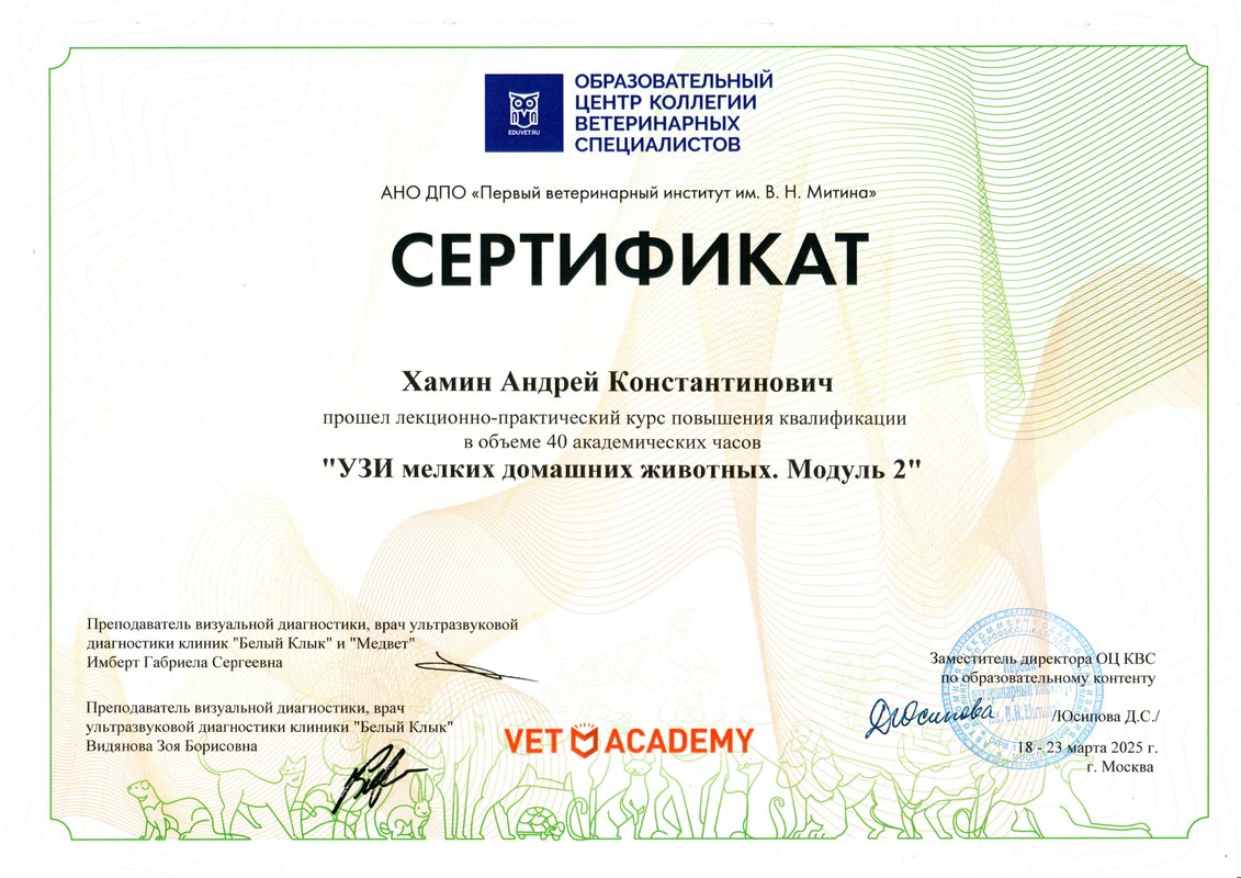 Документ или сертификат