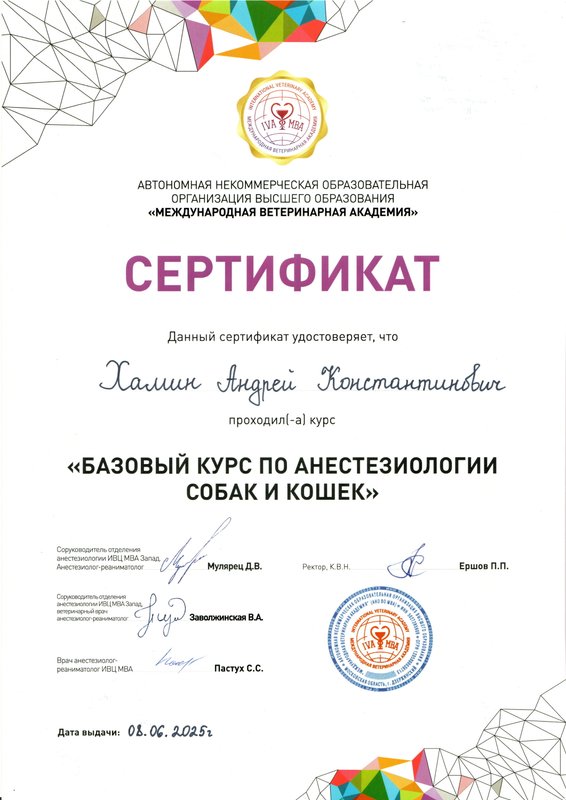 Документ или сертификат