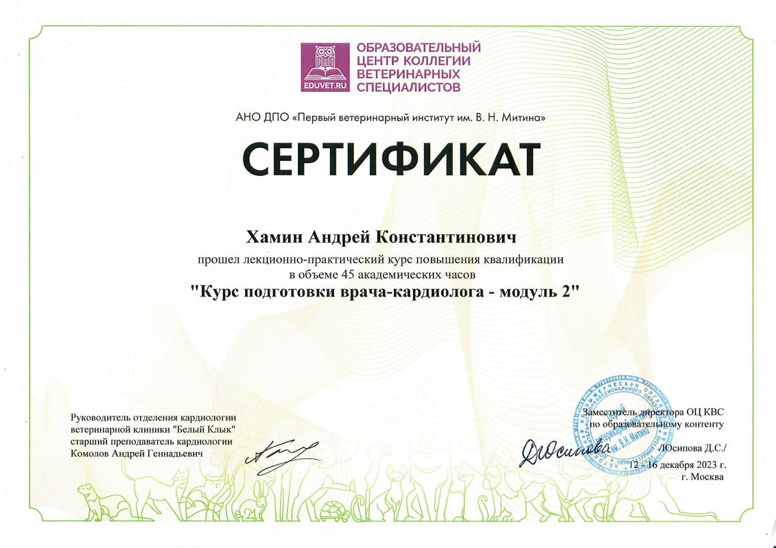 Документ или сертификат