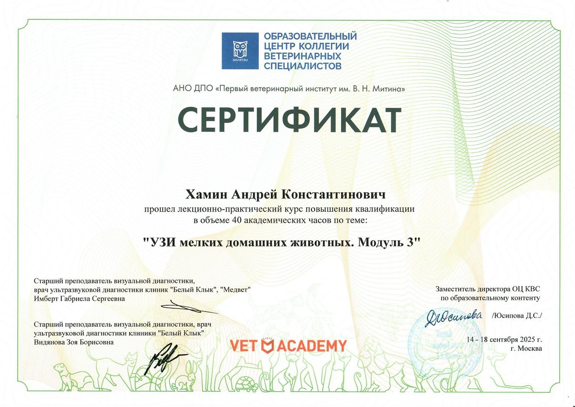 Документ или сертификат