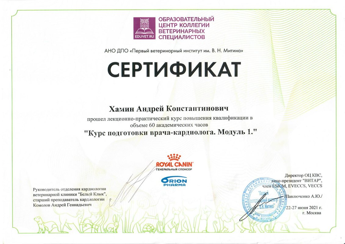 Документ или сертификат