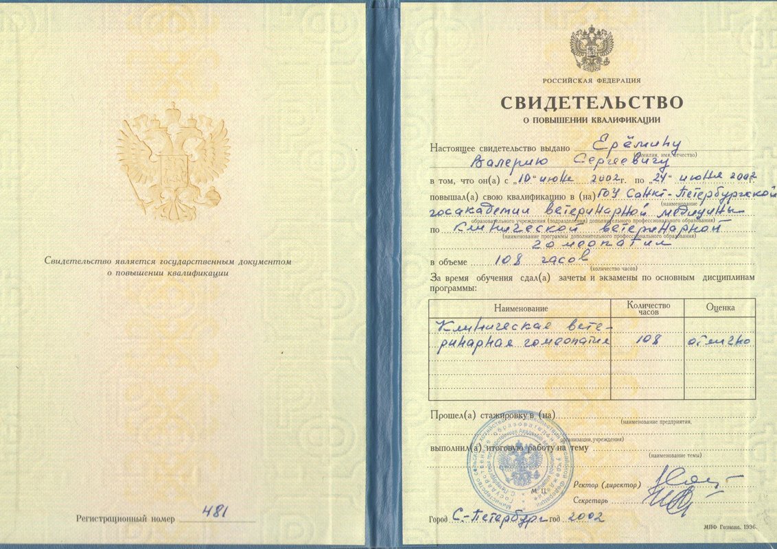 Документ или сертификат