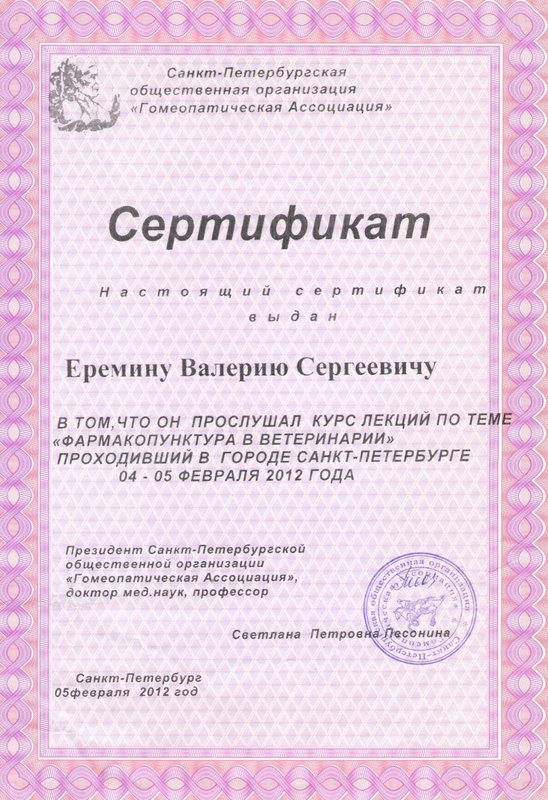 Документ или сертификат