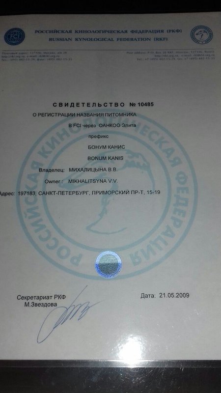Документ или сертификат