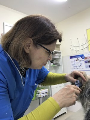 Фото врача Князева Ирина Валентиновна