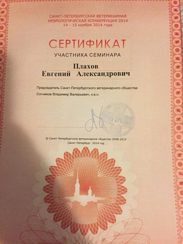 Документ или сертификат