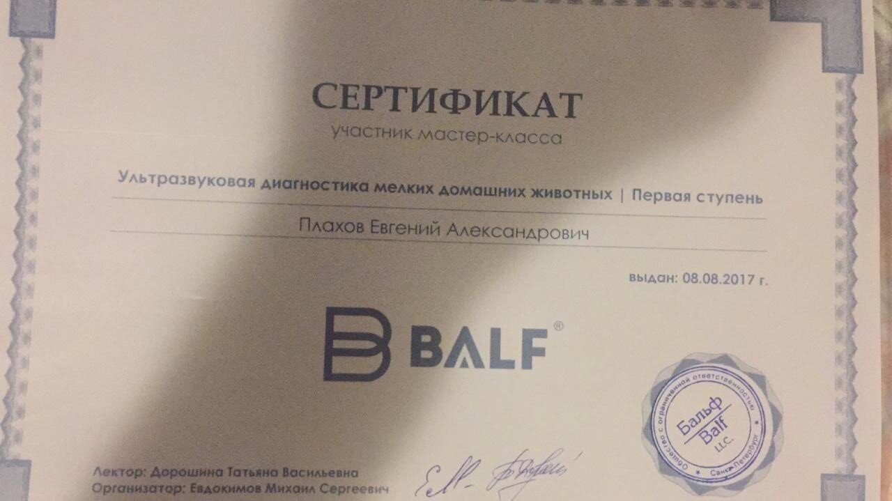 Документ или сертификат