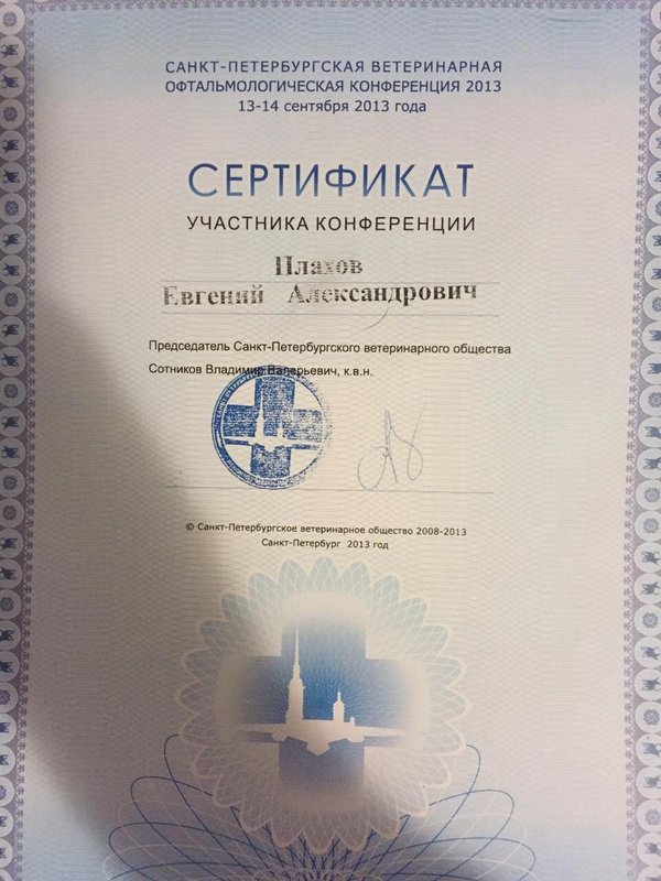 Документ или сертификат