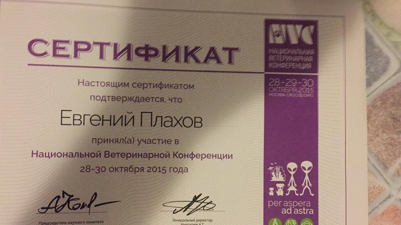 Документ или сертификат