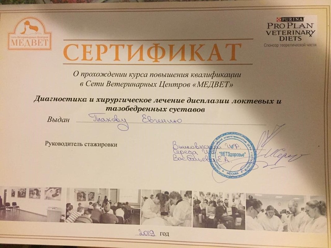 Документ или сертификат